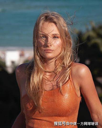 球队精神的 球队精神的