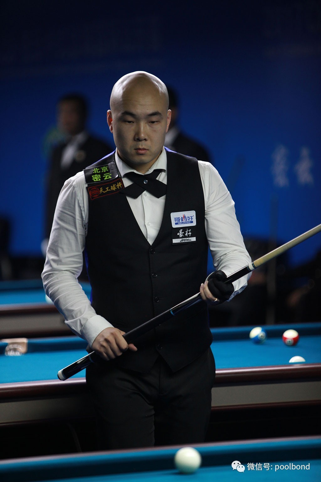 雄鹿在字母 雄鹿在字母